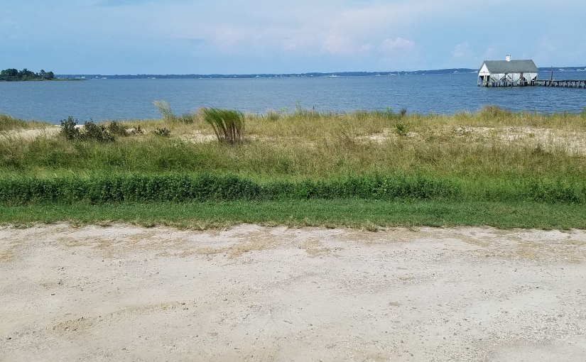 Allow life to flow like a river to the vastness of the&nbsp;ocean…..